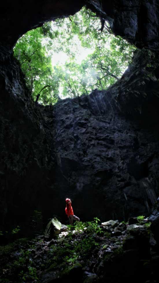 杭州市钱塘区景苑幼教集团:“幼”见桑树