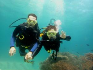 海盗的寻宝之旅